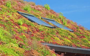 Herriard living roof systems
